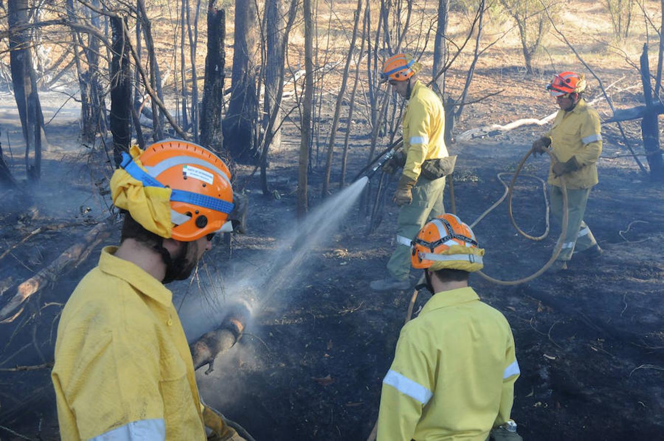 Estabilizado el incendio en Don Álvaro