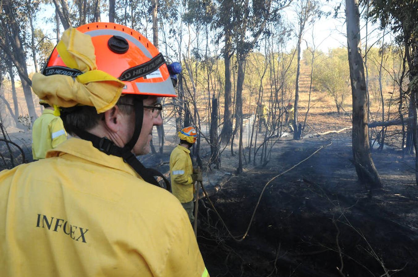 Estabilizado el incendio en Don Álvaro