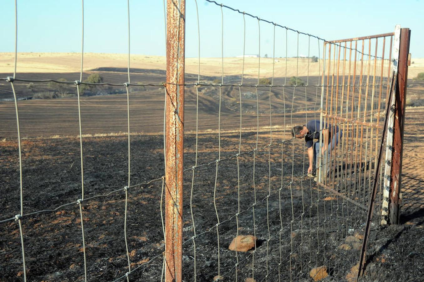 Estabilizado el incendio en Don Álvaro