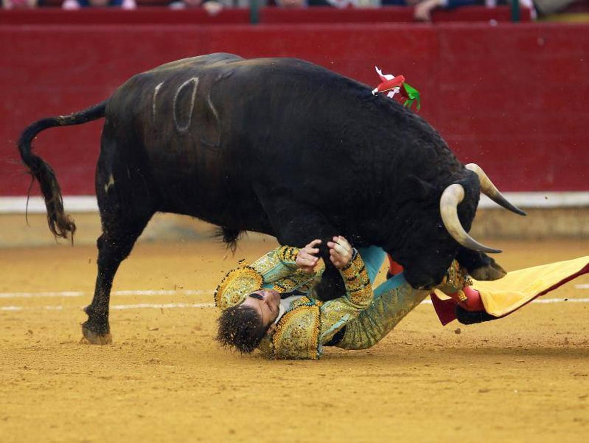 Imágenes de la cogida a Juan José Padilla en Zaragoza