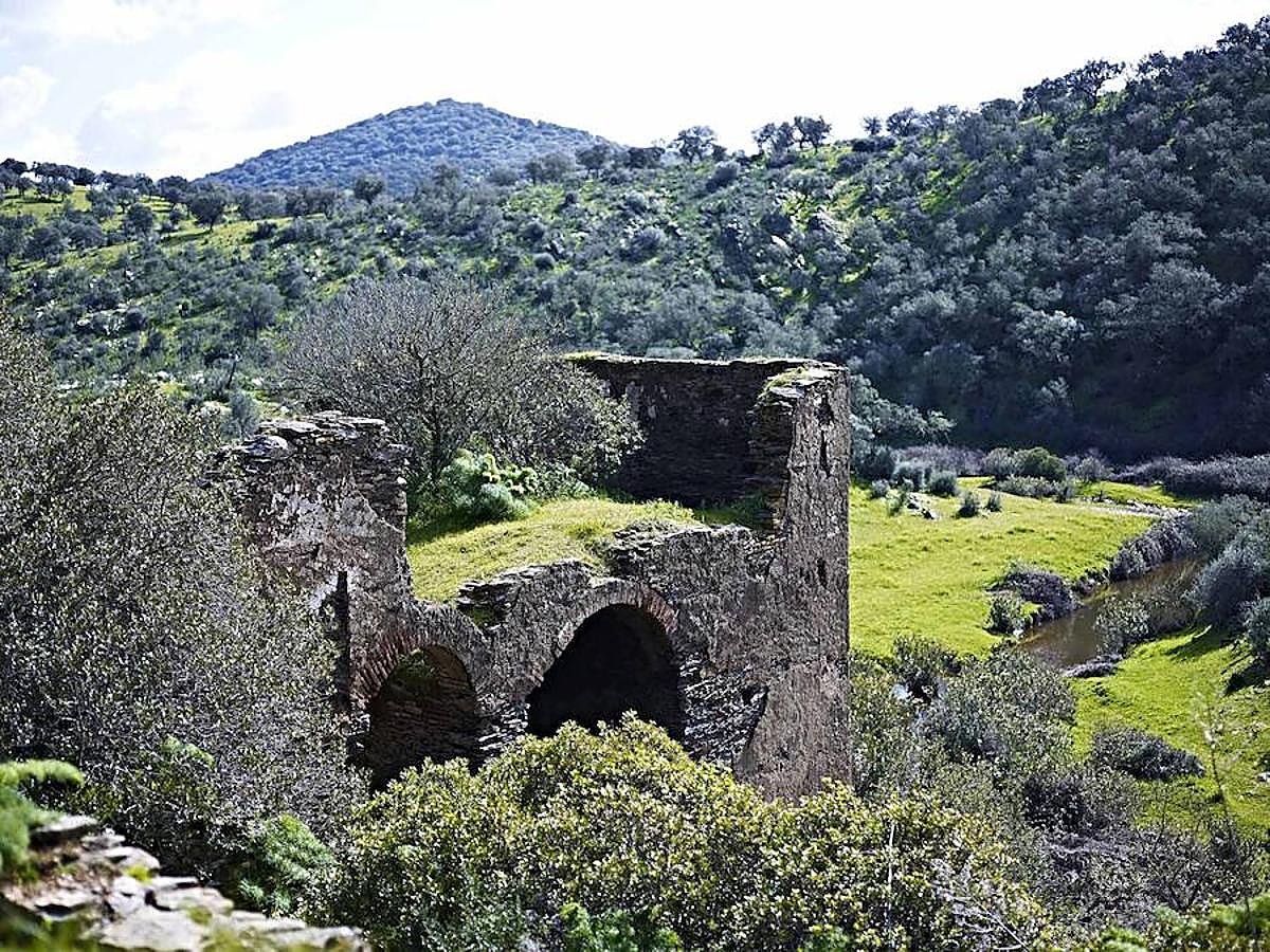 Dependencias monásticas y paisaje circundante