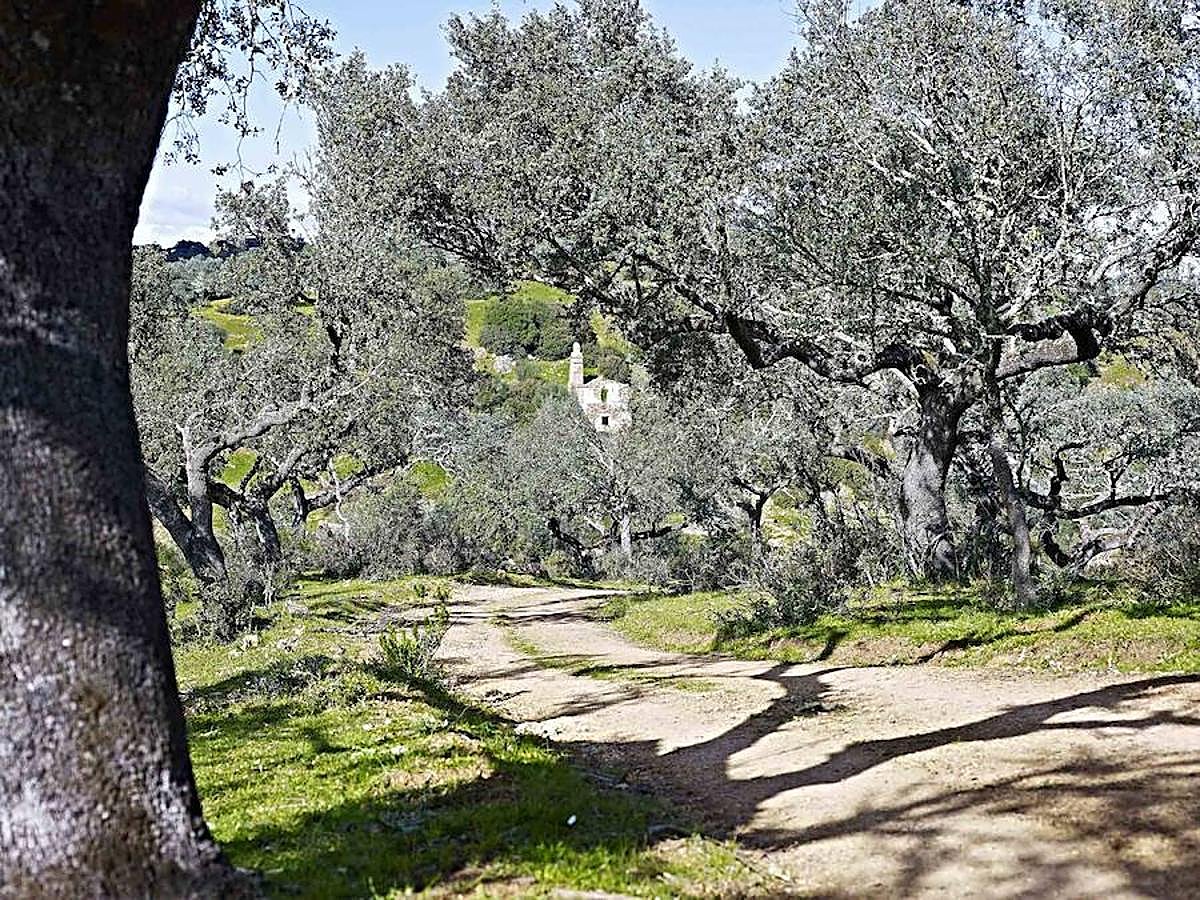 Camino de acceso al convento de la luz