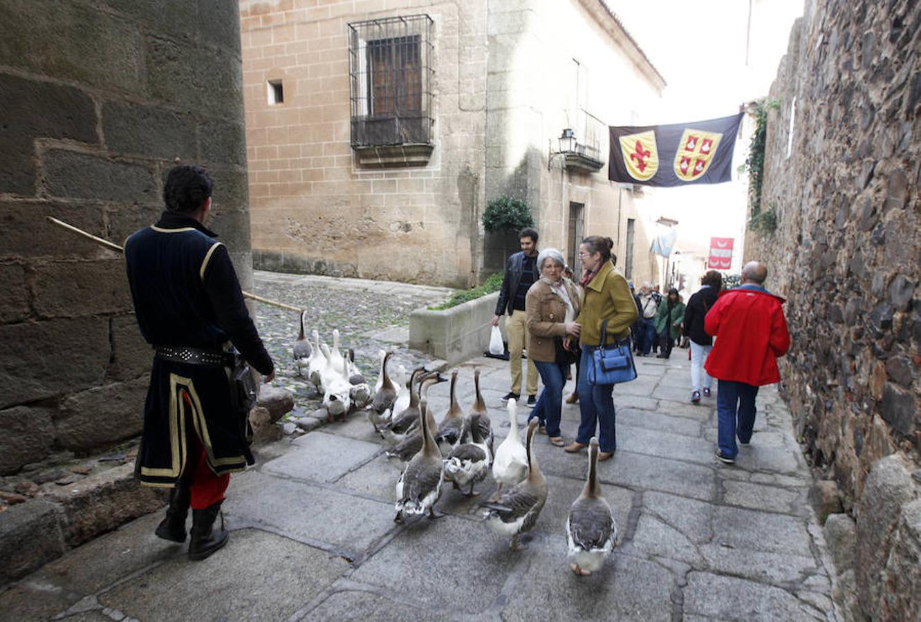 Mercado Medieval en Cáceres