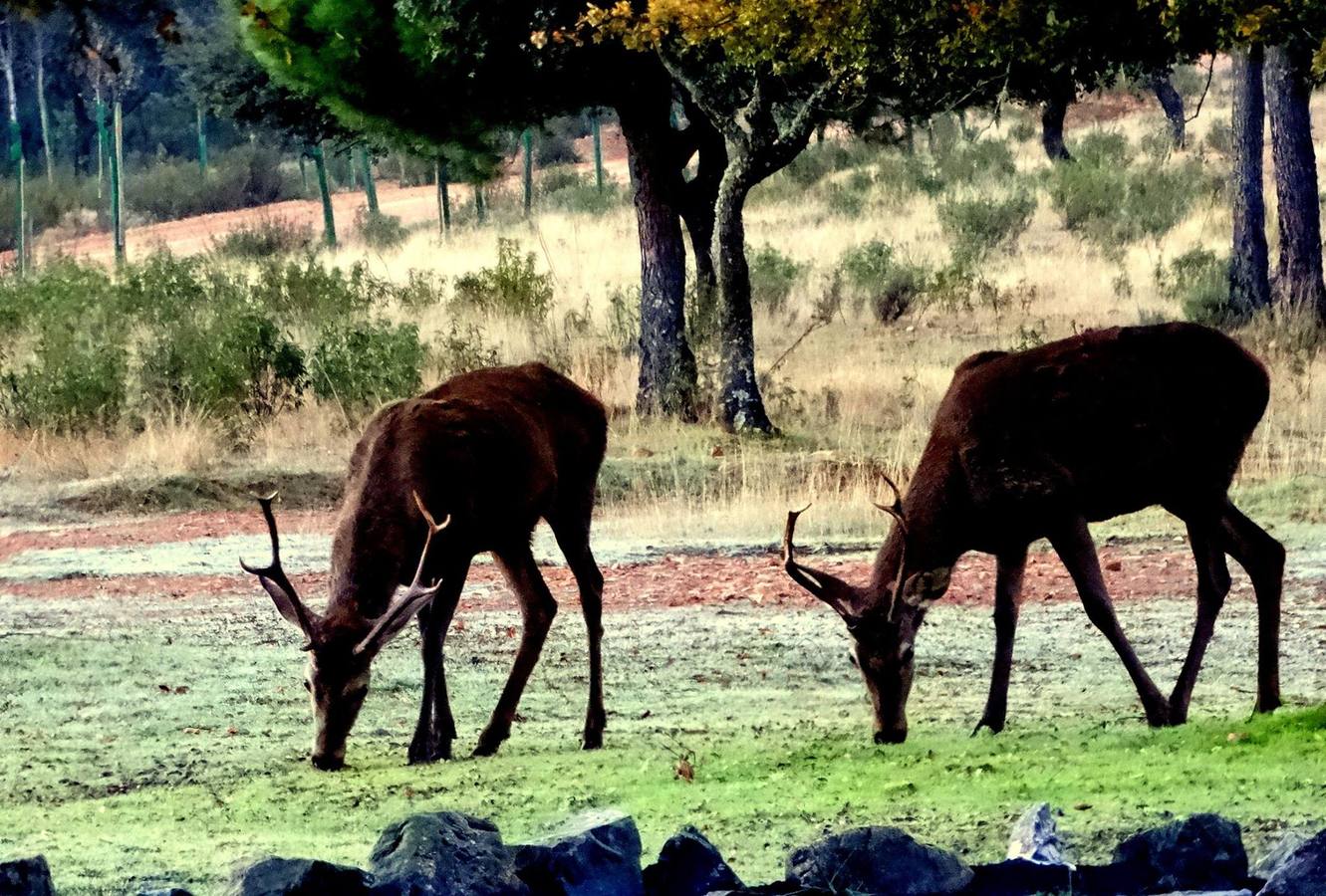 Paisajes espectaculares en la Reserva Regional del Cijara