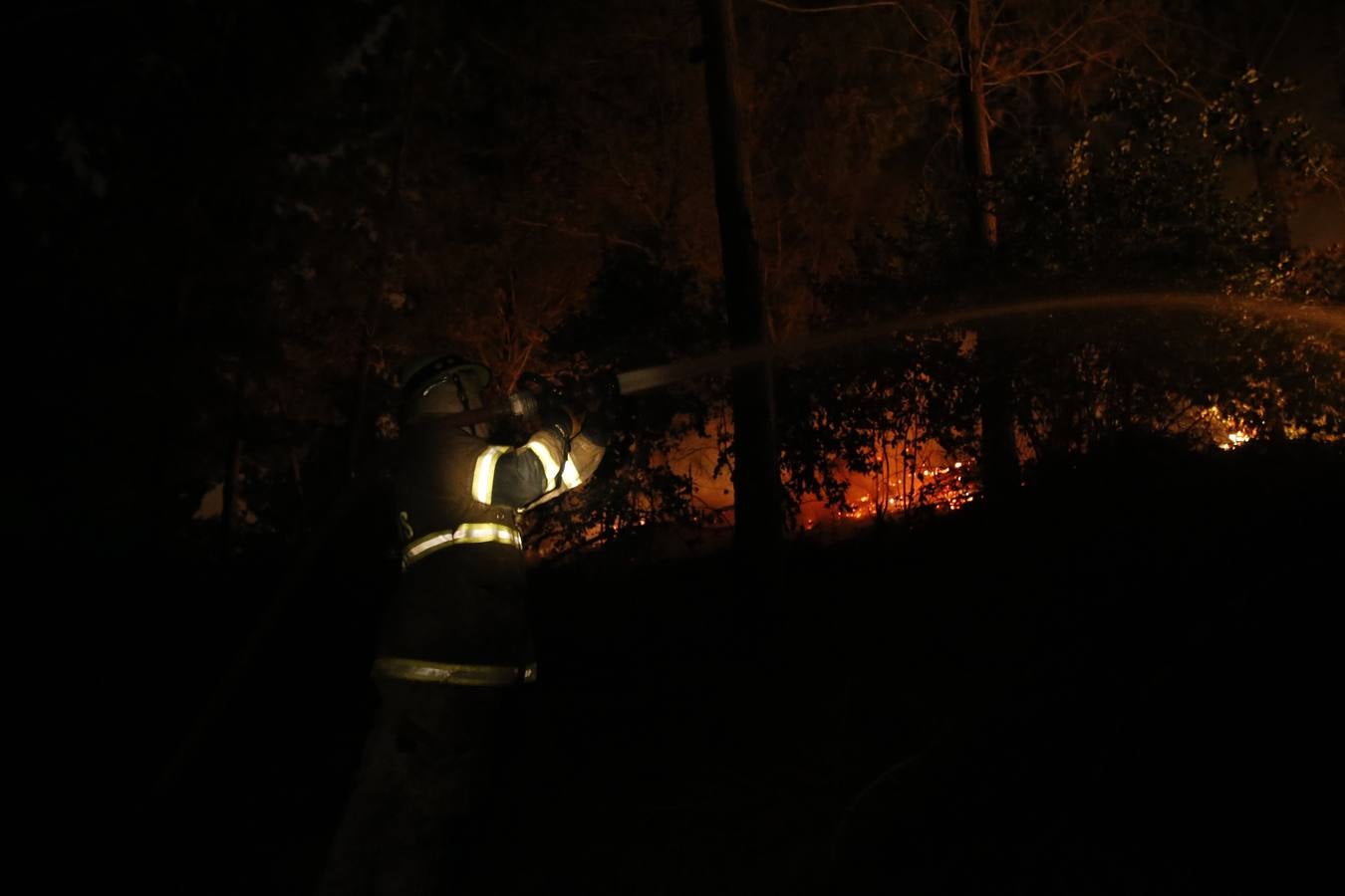 Evacúan a 4.000 personas por el incendio forestal en el sur de Chile