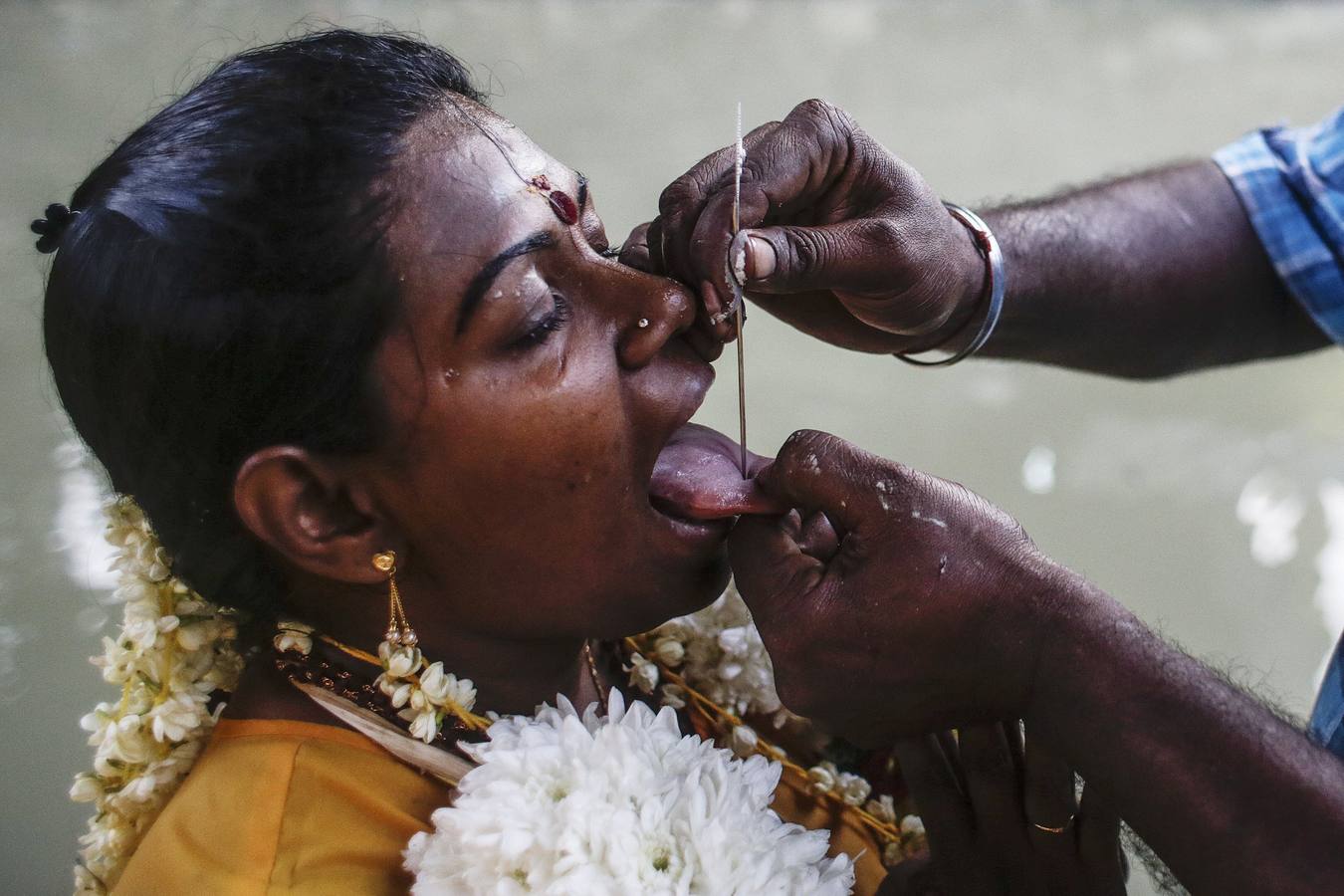 Los hindúes de Singapur celebran el Thaipusam con devoción