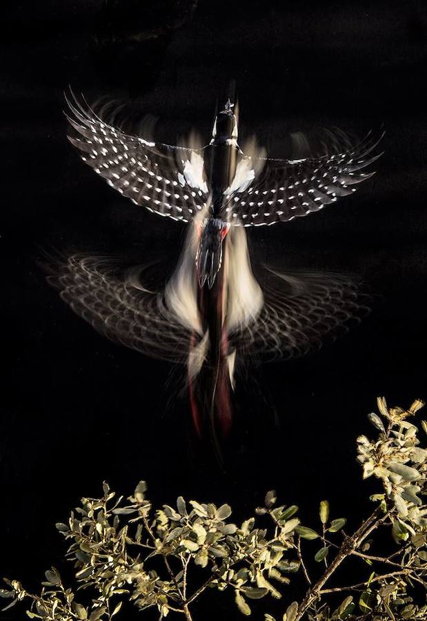 Accésit Martín Iglesias S.L. a ‘Dibujando el vuelo’, de Dimas Serneget Belda.