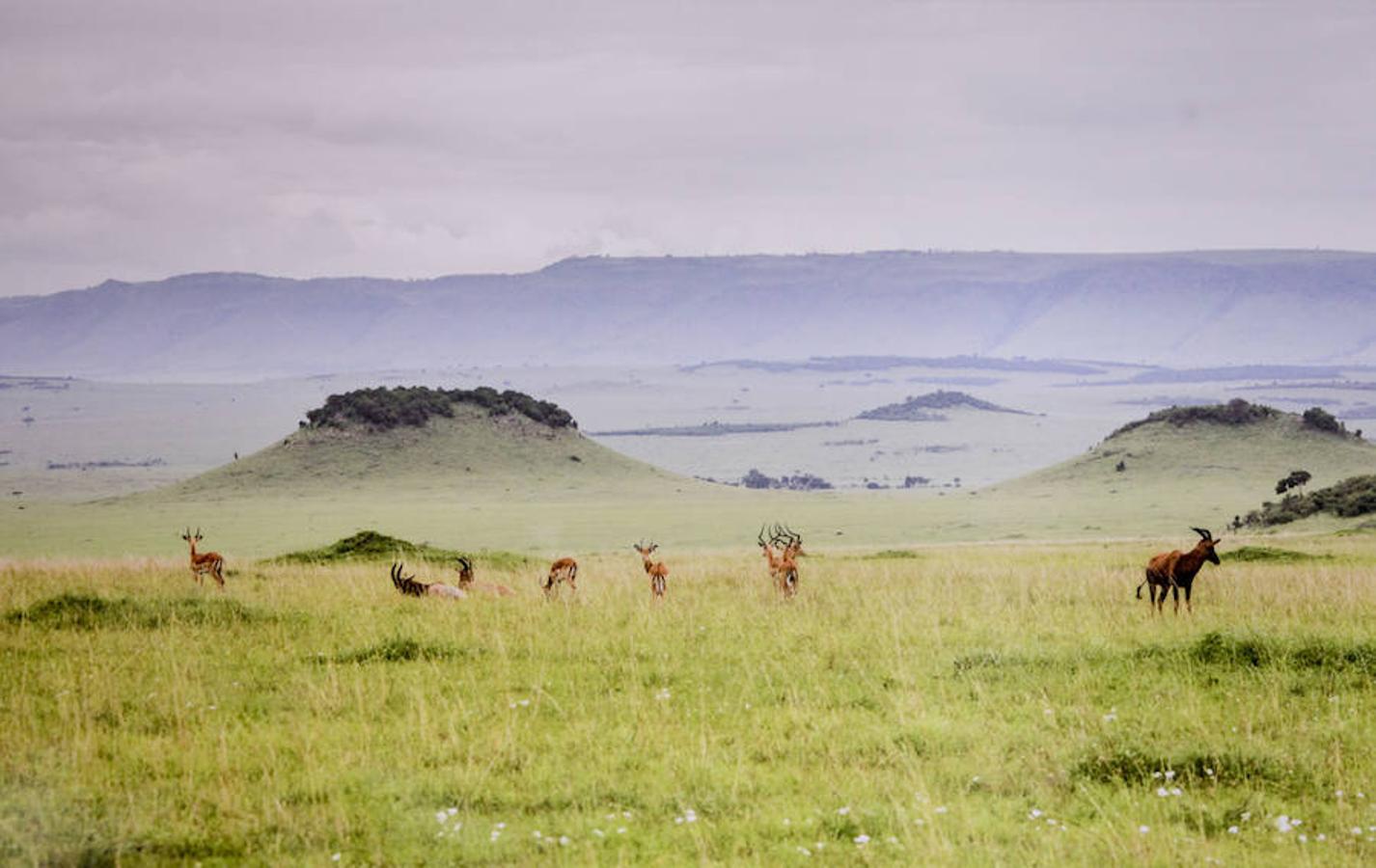 &#039;Memorias de África&#039;, de Alejo Leal
