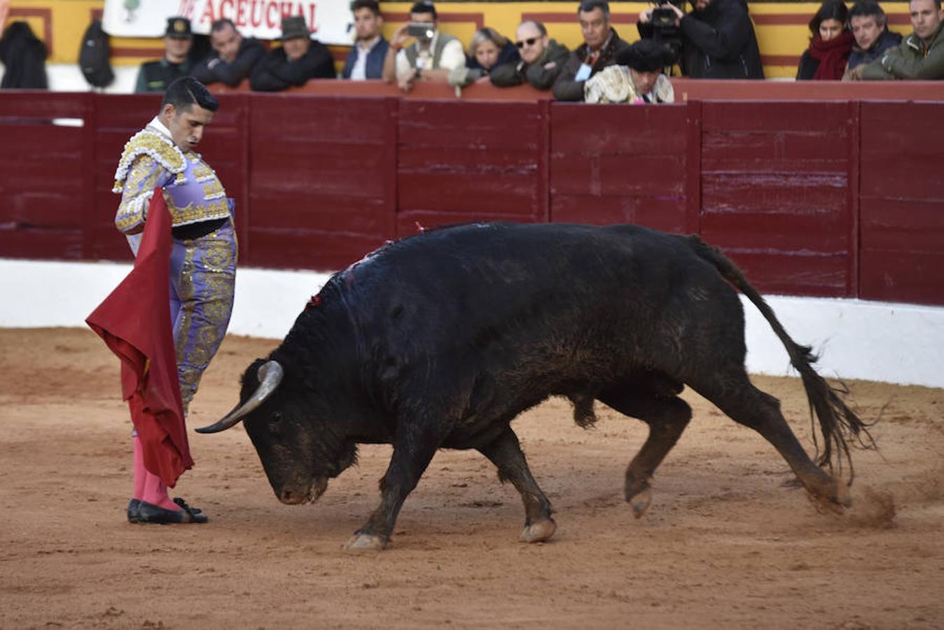 Novillada y corrida de toros del sábado en la Feria Taurina de Olivenza