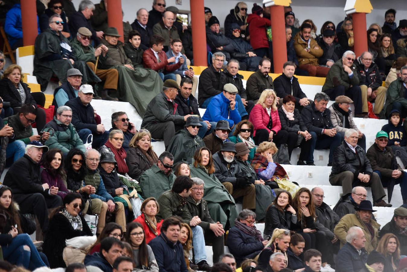 Novillada del sábado.