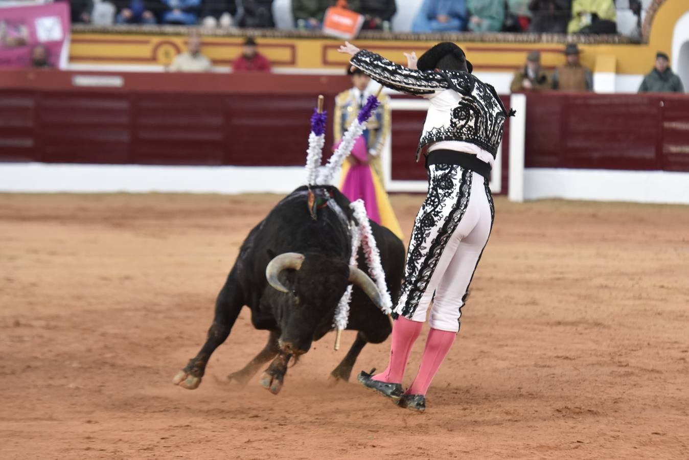 Viernes, 3 de marzo: Primera novillada de la Feria Taurina de Olivenza. El evento contó con ganado de 'El Parralejo' para Pablo Aguado, Leo Valadez y Antonio Catalán 'Toñete'. Fotografía: JV Arnelas