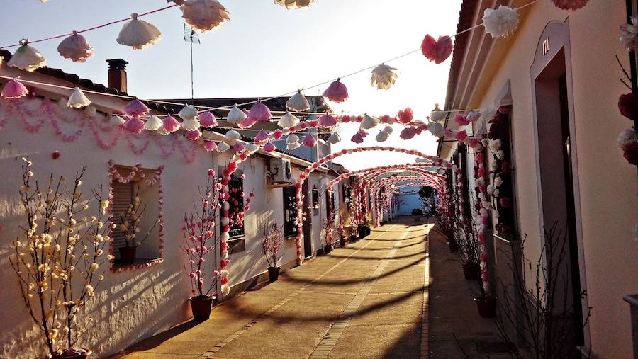 La floración acerca la primavera a Valdelacalzada