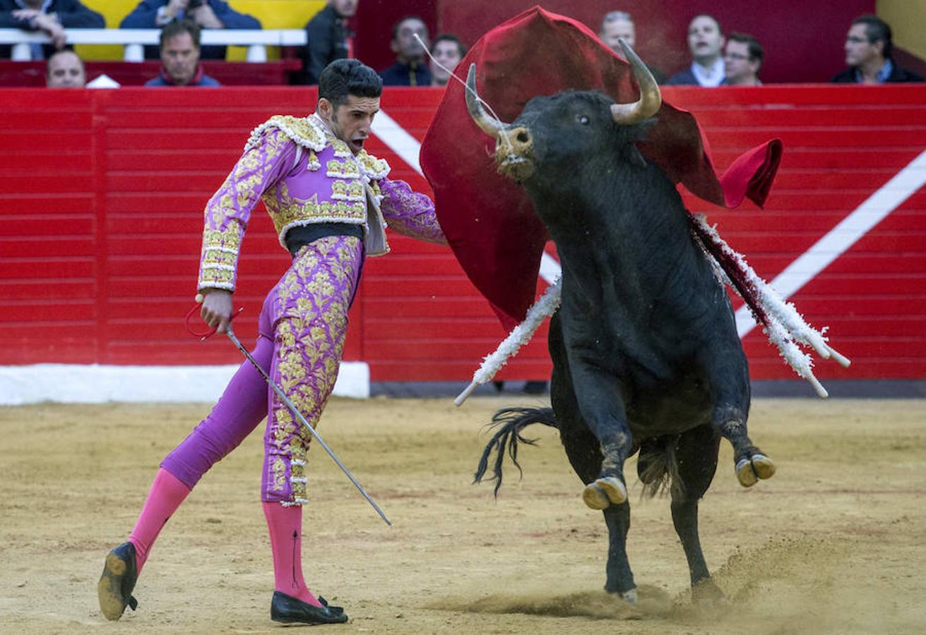 El Juli, Perera y Talavante, a hombros en la corrida de Cieza