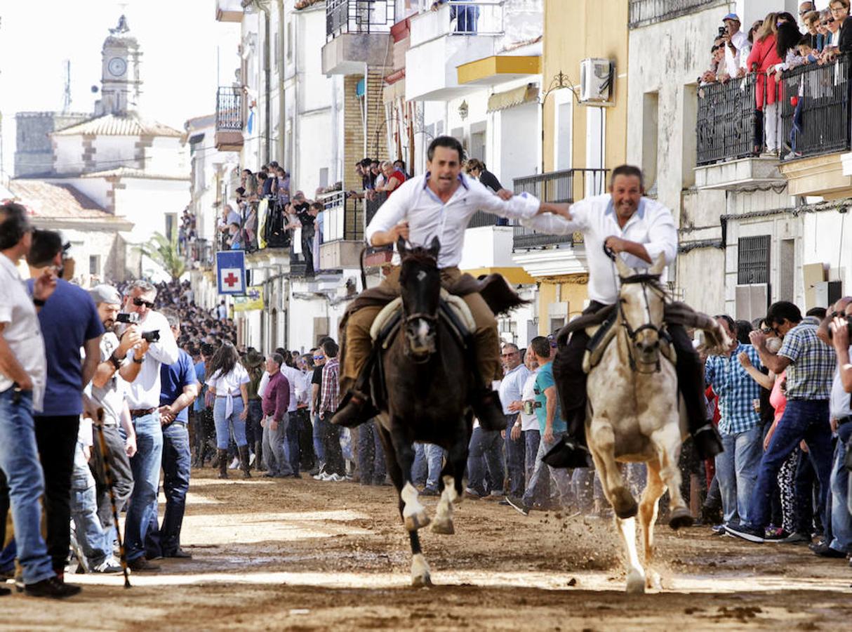 Carreras de caballos del &#039;Día de la Luz&#039;