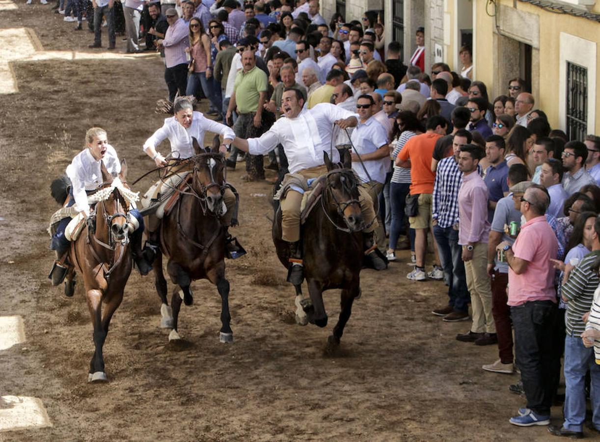 Carreras de caballos del &#039;Día de la Luz&#039;