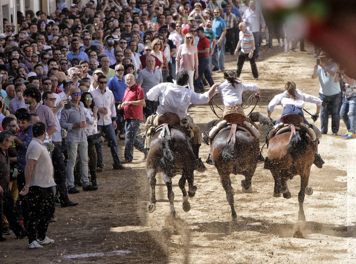 Carreras de caballos del &#039;Día de la Luz&#039;