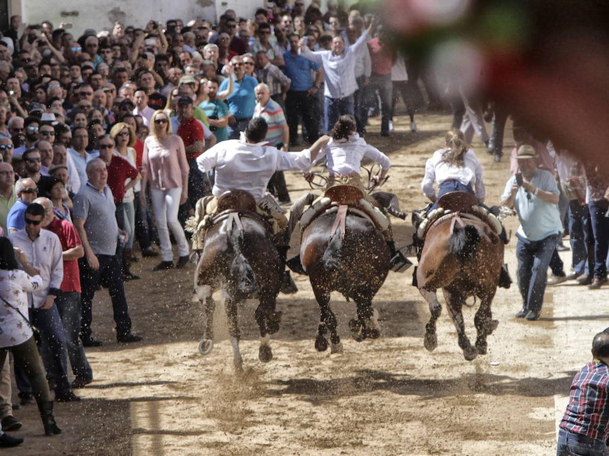 Carreras de caballos del &#039;Día de la Luz&#039;