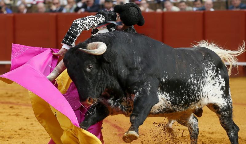 Oreja para la torería de Garrido en Sevilla