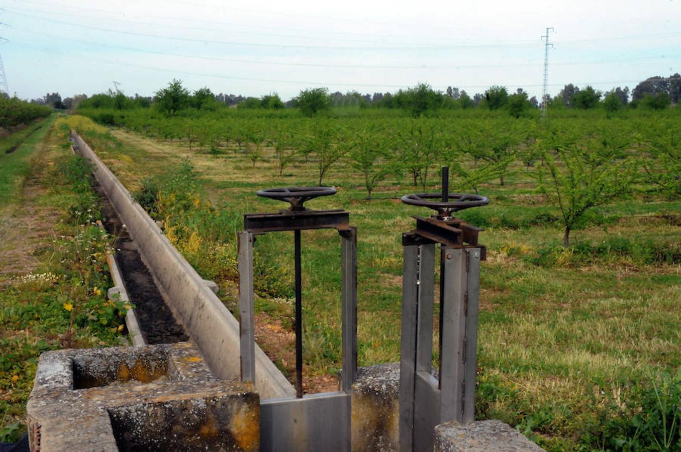 El riego ya alimenta al campo extremeño