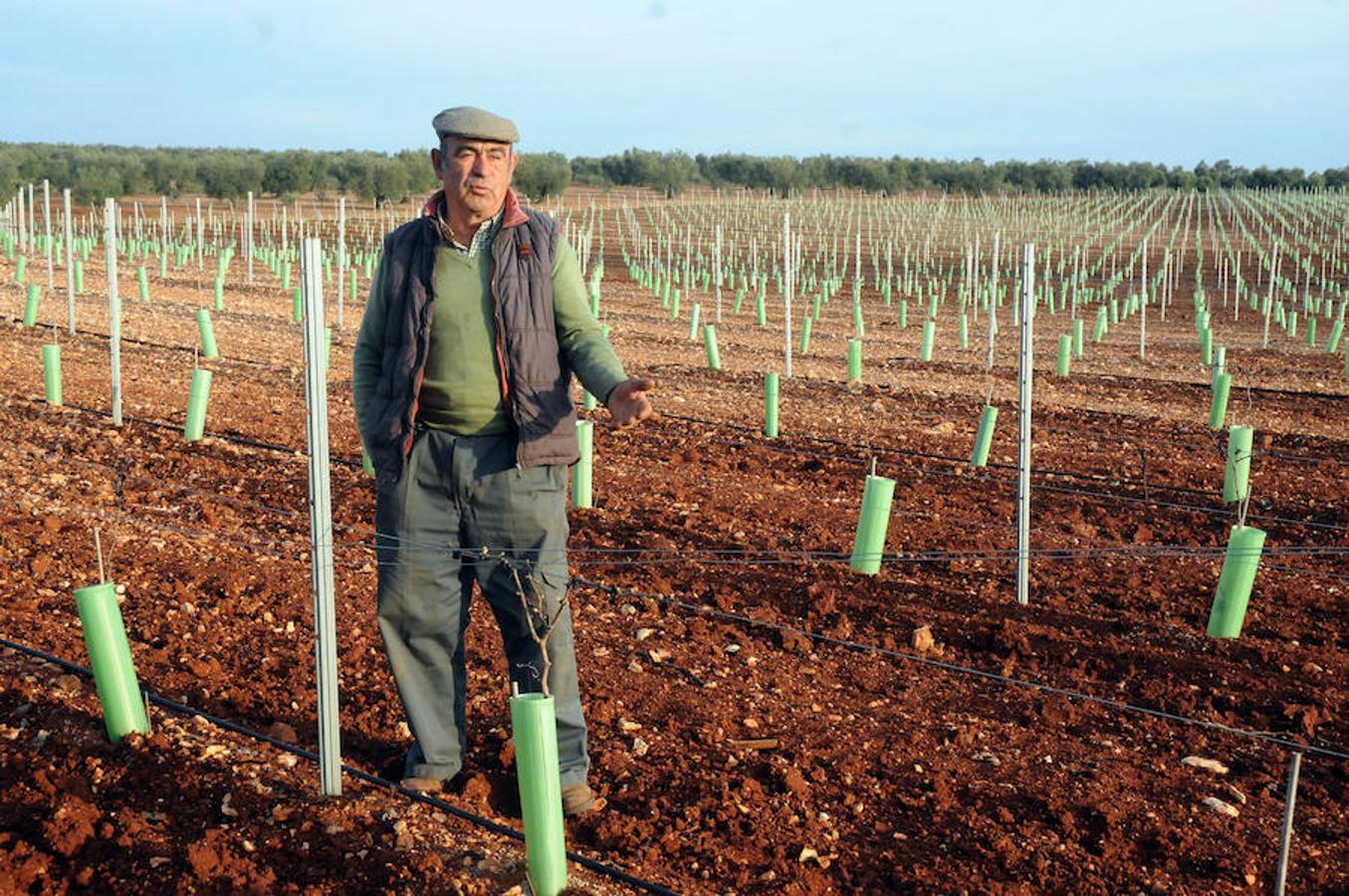 El riego ya alimenta al campo extremeño