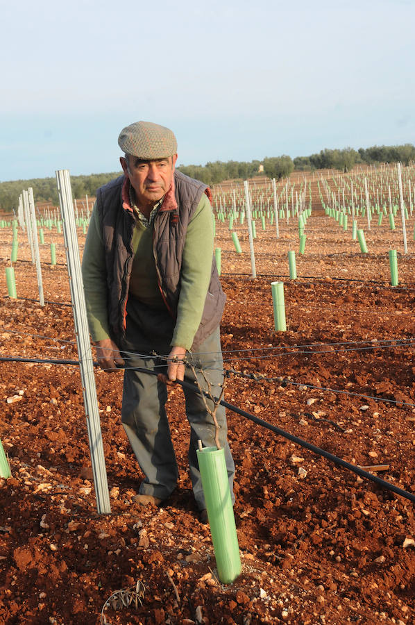 El riego ya alimenta al campo extremeño