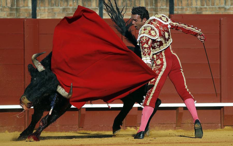 Magistral lección de toreo de Ferrera en Sevilla