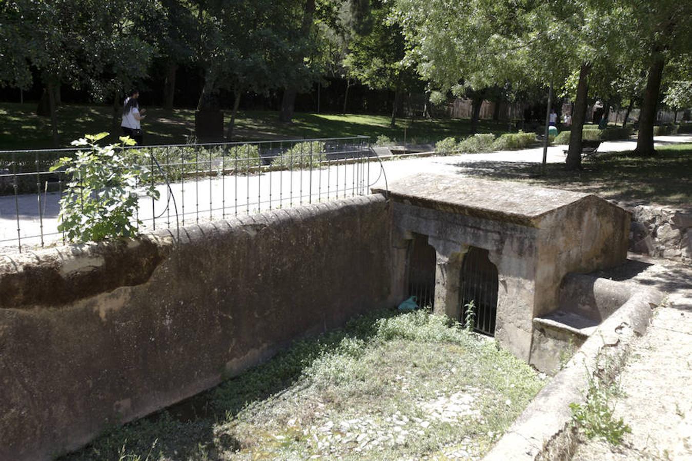 Fuente de la Madrila.Elección de la librera María Vaquero