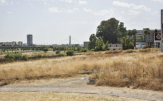 Parcela donde se prevé la construcción de la piscina de la Margen Derecha.