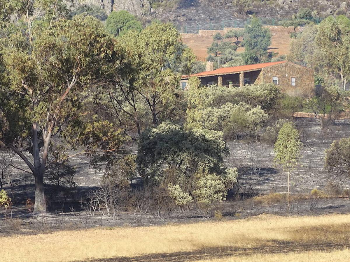 El fuego ha tenido en vilo la pasada noche a los vecinos de Arroyo y Calamonte y así estaban los terrenos afectados por el fuego esta mañana