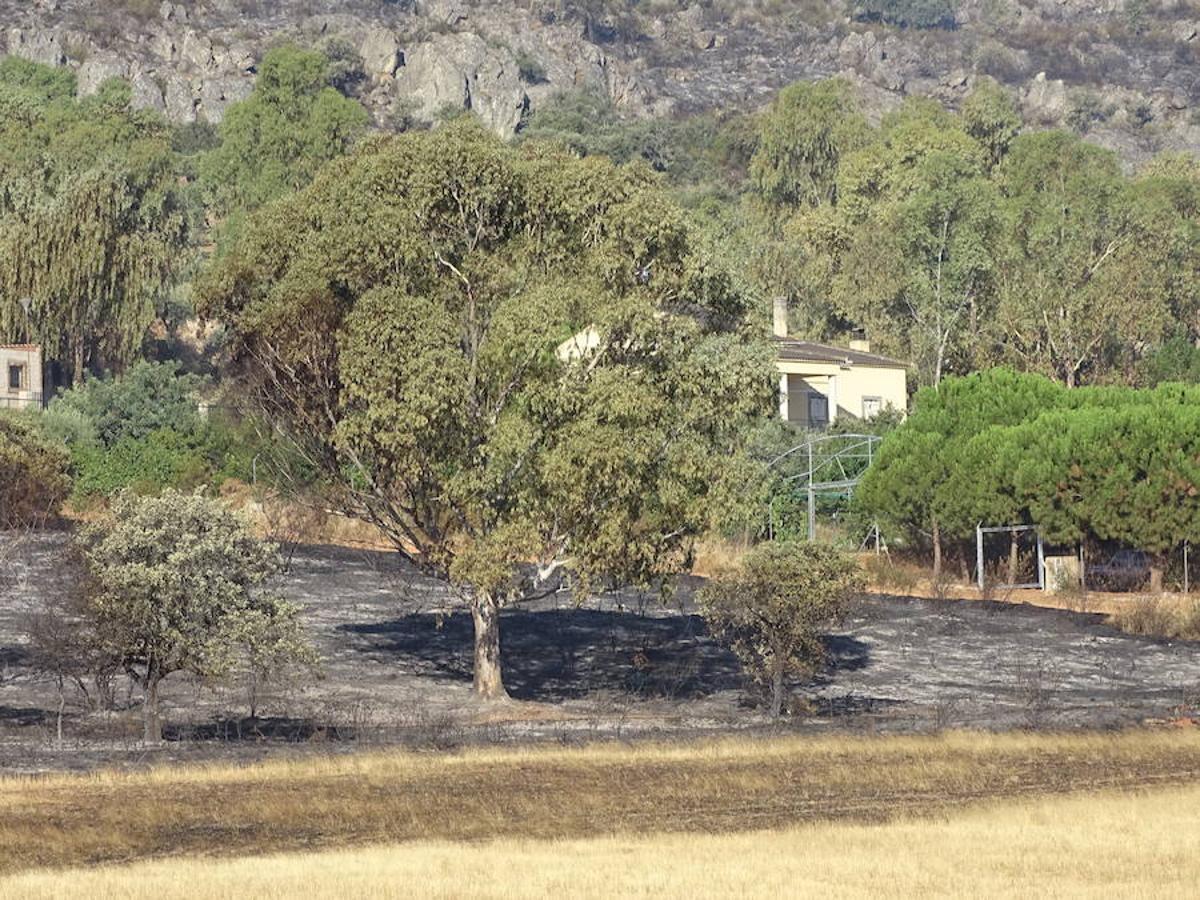 El fuego ha tenido en vilo la pasada noche a los vecinos de Arroyo y Calamonte y así estaban los terrenos afectados por el fuego esta mañana