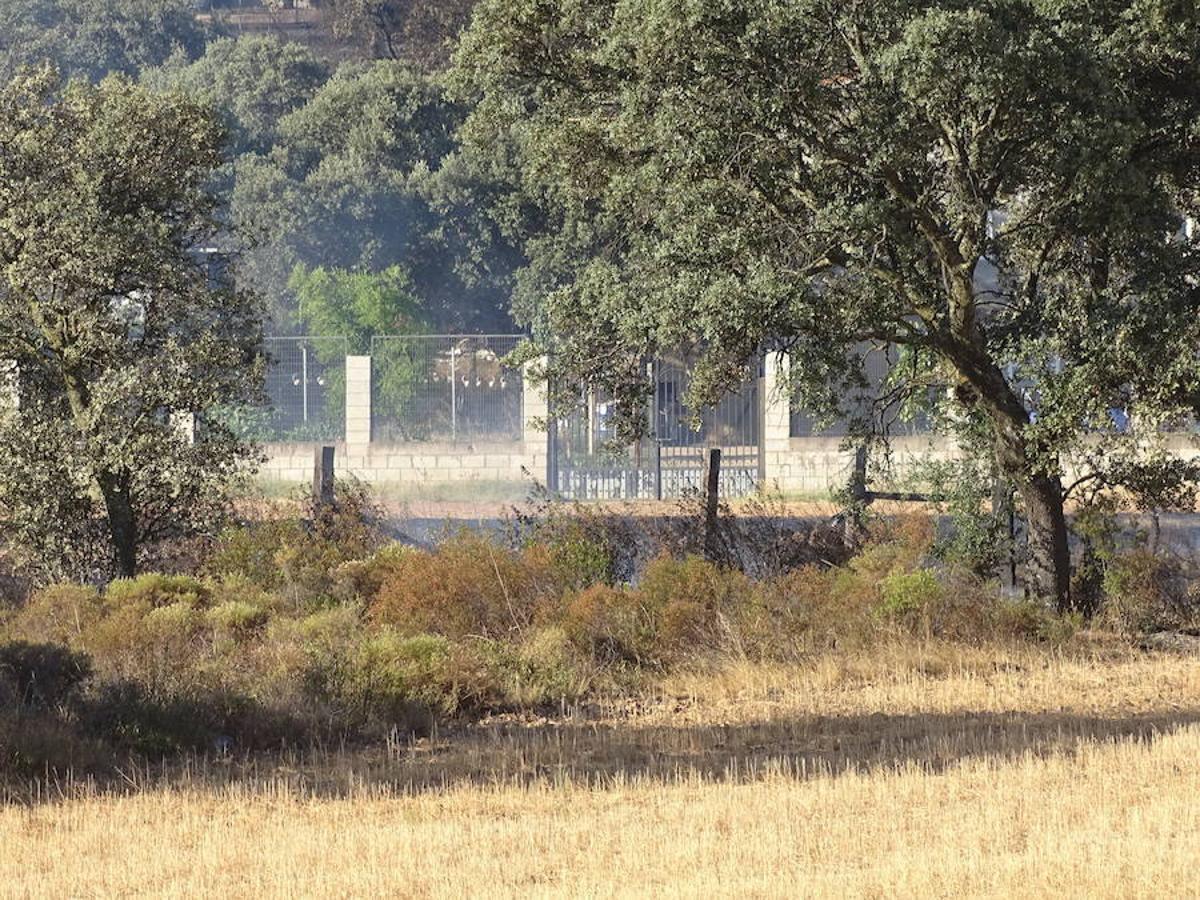 El fuego ha tenido en vilo la pasada noche a los vecinos de Arroyo y Calamonte y así estaban los terrenos afectados por el fuego esta mañana