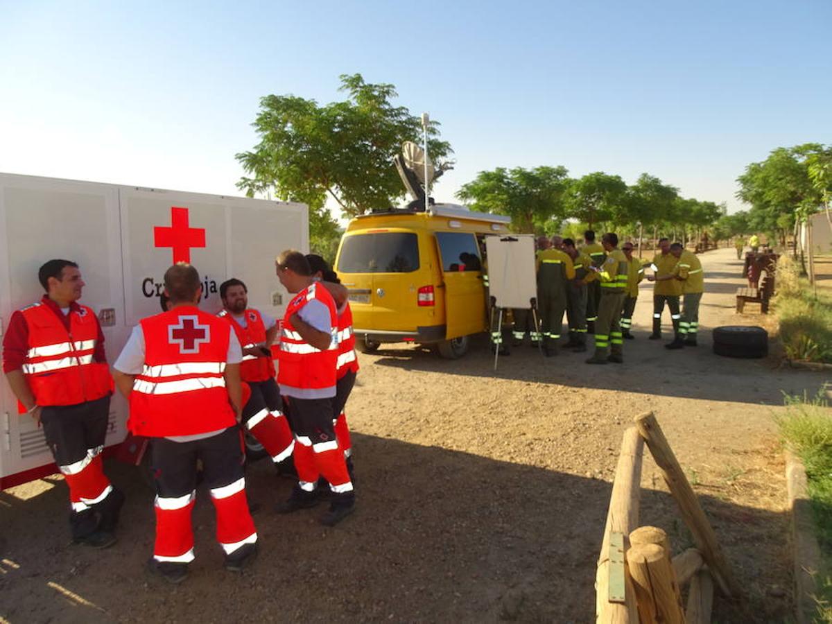 El fuego ha tenido en vilo la pasada noche a los vecinos de Arroyo y Calamonte y así estaban los terrenos afectados por el fuego esta mañana