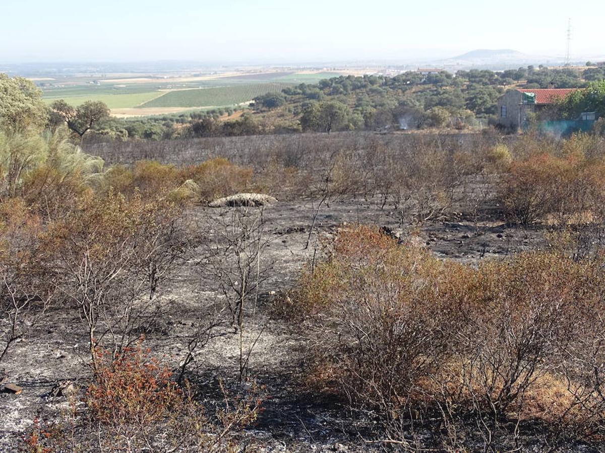 El fuego ha tenido en vilo la pasada noche a los vecinos de Arroyo y Calamonte y así estaban los terrenos afectados por el fuego esta mañana