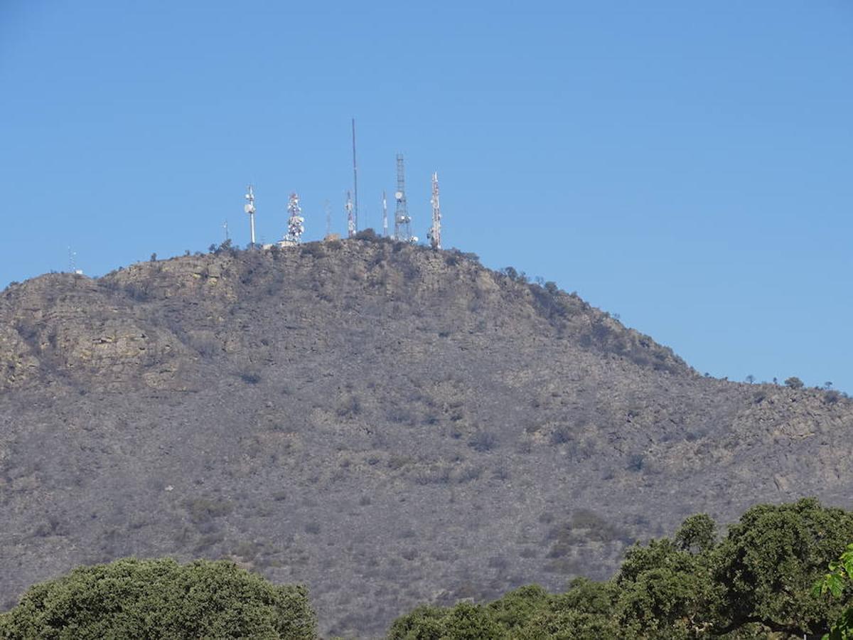 El fuego ha tenido en vilo la pasada noche a los vecinos de Arroyo y Calamonte y así estaban los terrenos afectados por el fuego esta mañana