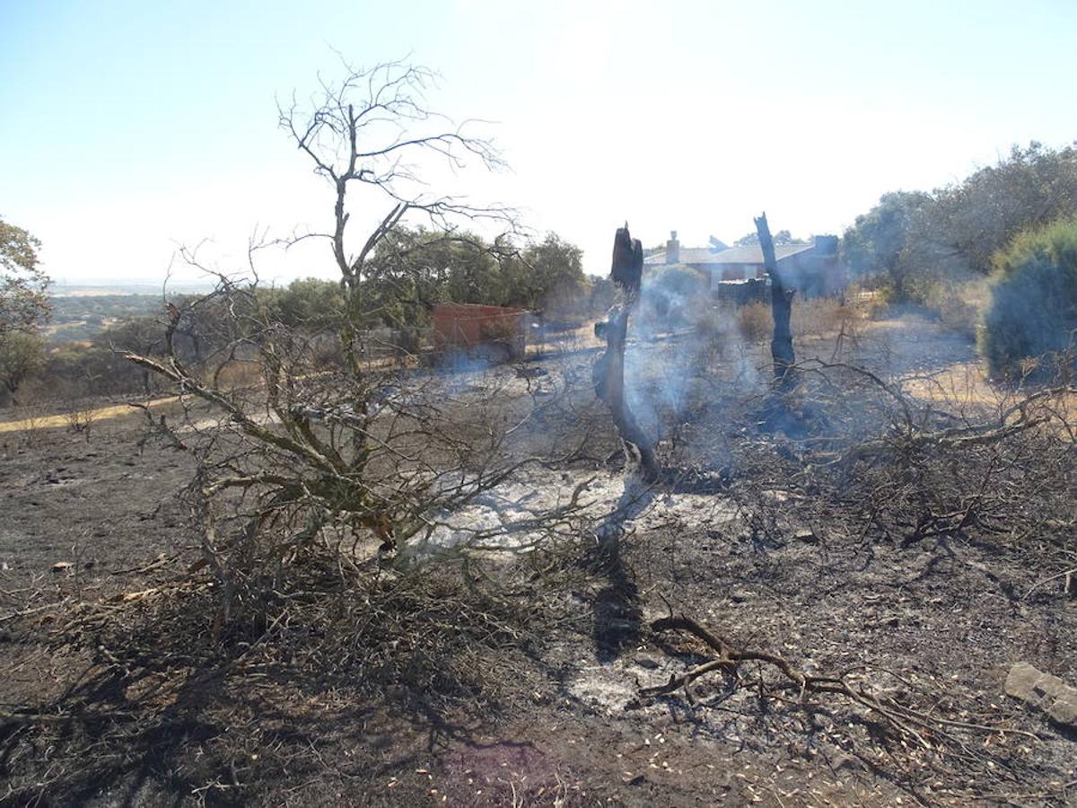 El fuego ha tenido en vilo la pasada noche a los vecinos de Arroyo y Calamonte y así estaban los terrenos afectados por el fuego esta mañana