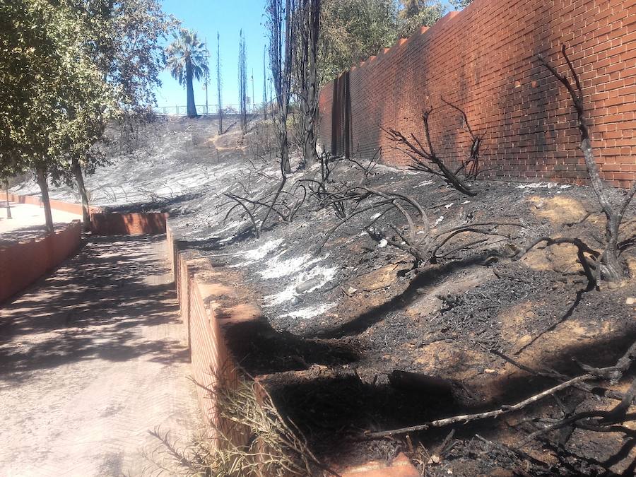 Fuego en los jardines del Guadianilla