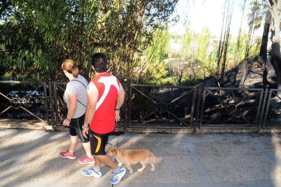 Fuego en los jardines del Guadianilla