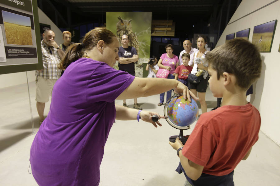 Observando las Perseidas desde Monfragüe