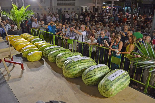 Sandías y melones participantes en el concurso el año pasado. :: f. h.