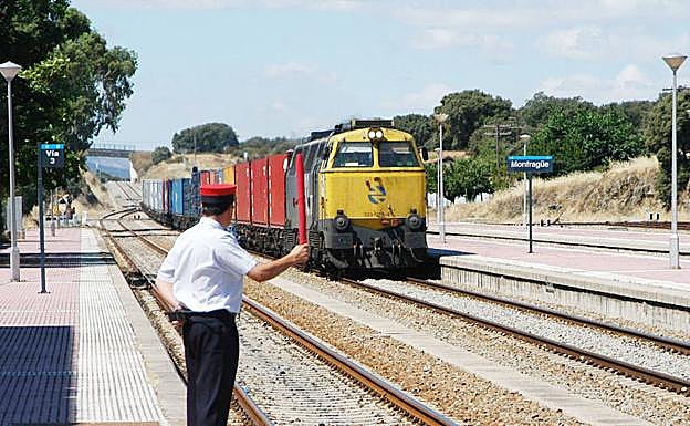 Imagen de archivo de un tren de mercancías a su paso por Monfragüe. 