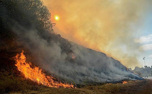 Incendio en las laderas de la Alcazaba de Badajoz, ocurrido en la tarde del 25 de agosto.