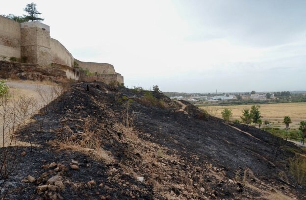 La barbacana quemada y las laderas arrasadas por el último fuego en La Alcazaba. :: c. moreno