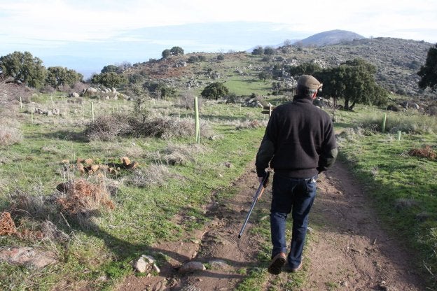 Un cazador caminando por el monte Valcorchero, en una imagen de archivo. :: andy solé