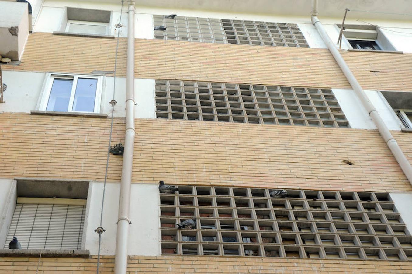 Los vecinos de la Plazoleta, en Mérida, critican la proliferación de los excrementos de las aves y su falta de limpieza.