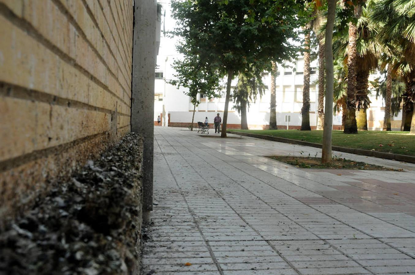 Los vecinos de la Plazoleta, en Mérida, critican la proliferación de los excrementos de las aves y su falta de limpieza.