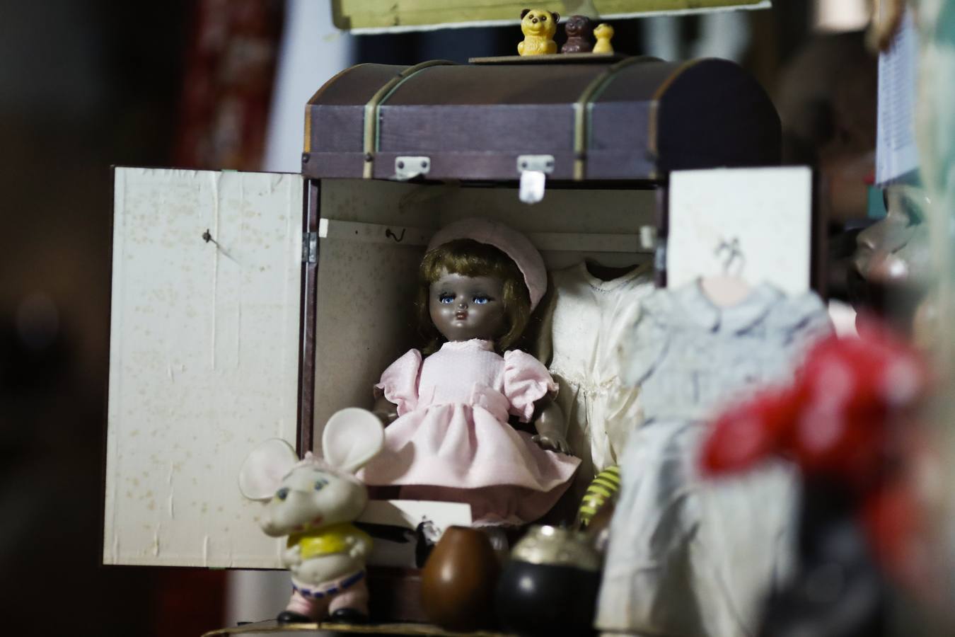 En un pequeño pero mágico local de Buenos Aires el doctor Julio Roldán se encarga de restaurar muñecas y devolver a sus dueños los recuerdos, la ilusión y el cariño que simbolizan
