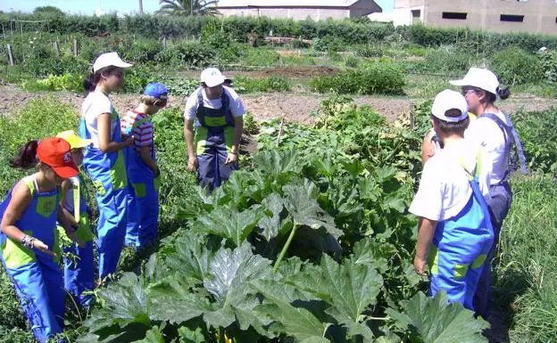 Escolares en un huerto ecológico de Villanueva de la Serena:: HOY