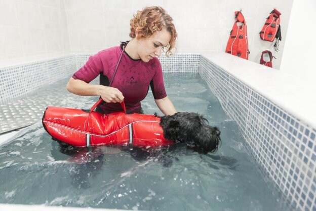 La fisioterapeuta animal, Silvia Granado, en una sesión de hidroterapia. :: j. Rey