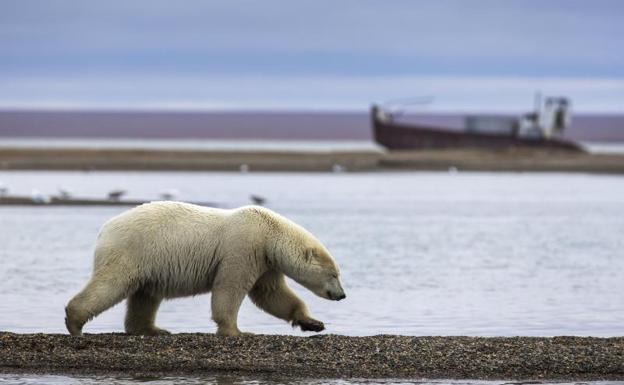 Una base de datos con 2.000 años de temperaturas globales