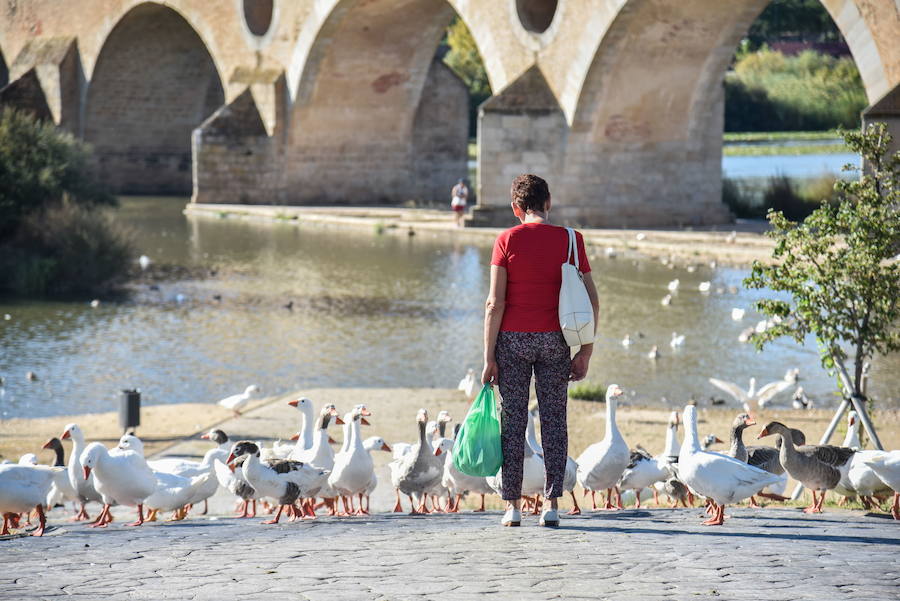 Parque del río Guadiana:: HOY